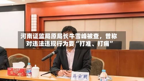 河南证监局原局长牛雪峰被查，曾称对违法违规行为要“打准、打痛”
