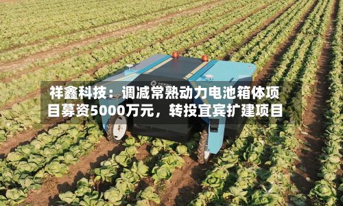 祥鑫科技：调减常熟动力电池箱体项目募资5000万元	，转投宜宾扩建项目-第2张图片