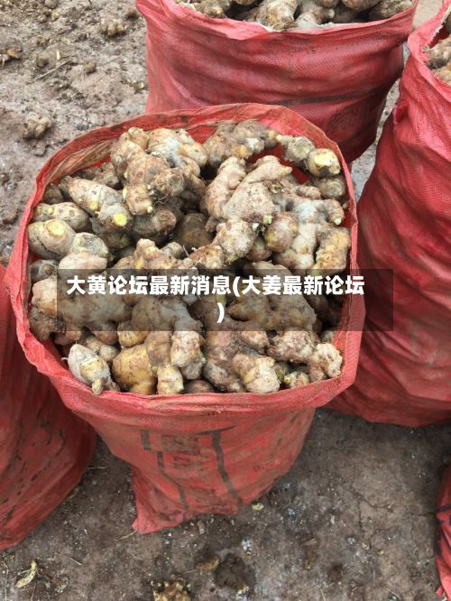 大黄论坛最新消息(大姜最新论坛)
