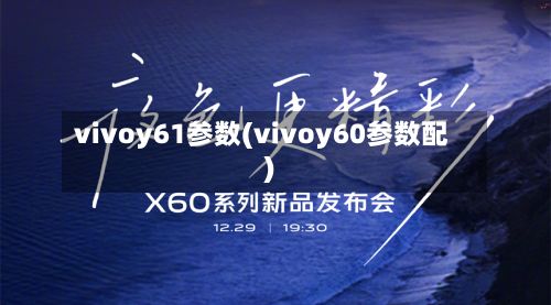 vivoy61参数(vivoy60参数配)-第3张图片