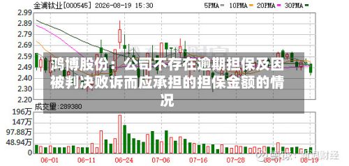 鸿博股份:公司不存在逾期担保及因被判决败诉而应承担的担保金额的情况-第2张图片