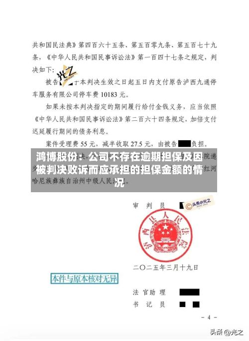 鸿博股份:公司不存在逾期担保及因被判决败诉而应承担的担保金额的情况-第3张图片