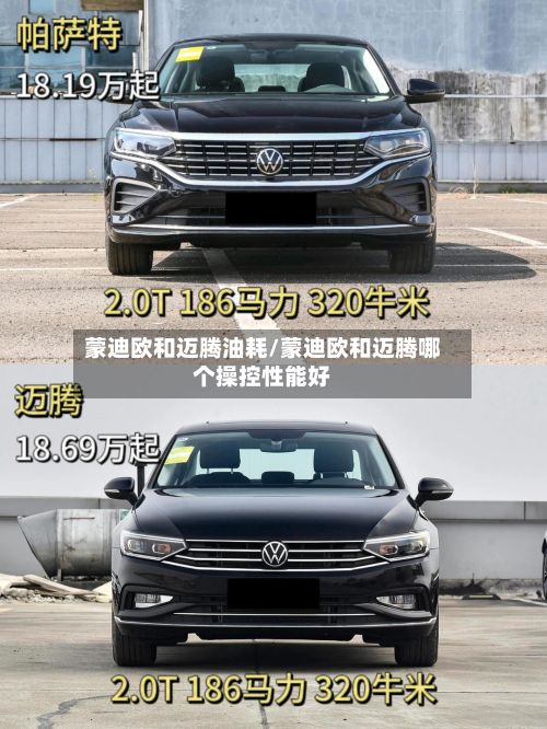 蒙迪欧和迈腾油耗/蒙迪欧和迈腾哪个操控性能好