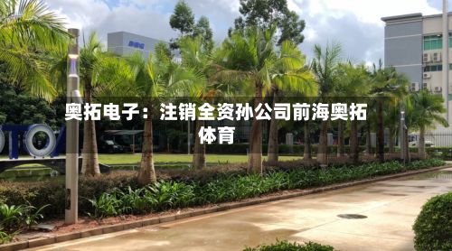 奥拓电子：注销全资孙公司前海奥拓体育-第2张图片