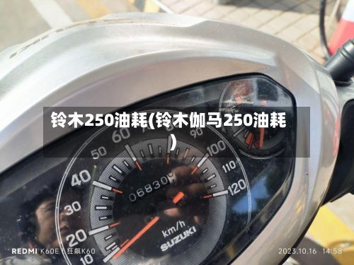 铃木250油耗(铃木伽马250油耗)