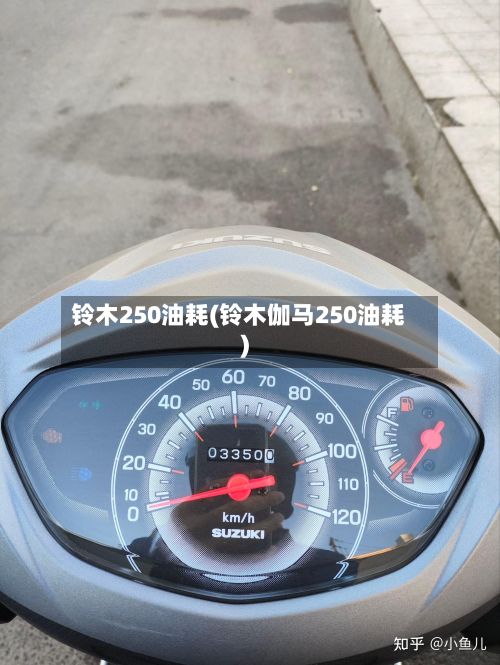铃木250油耗(铃木伽马250油耗)-第3张图片