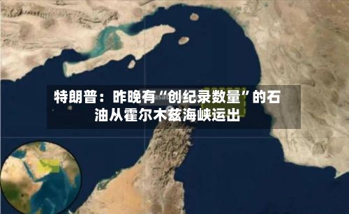 特朗普：昨晚有“创纪录数量”的石油从霍尔木兹海峡运出-第2张图片
