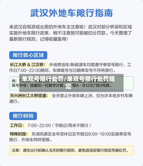 单双号限行处罚/单双号限行处罚规定-第3张图片