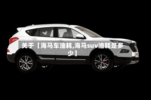 关于【海马车油耗,海马suv油耗是多少】-第2张图片