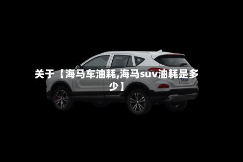 关于【海马车油耗,海马suv油耗是多少】-第3张图片