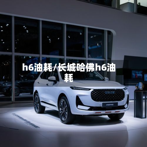 h6油耗/长城哈佛h6油耗