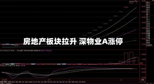 房地产板块拉升 深物业A涨停-第2张图片