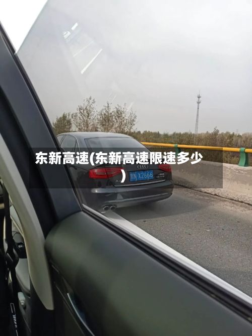 东新高速(东新高速限速多少)-第2张图片