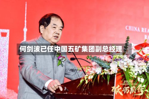 何剑波已任中国五矿集团副总经理