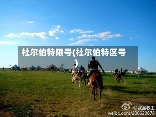 杜尔伯特限号(杜尔伯特区号)