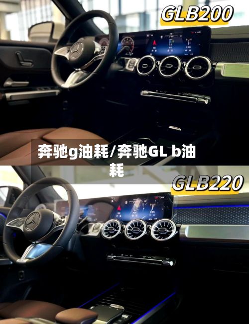 奔驰g油耗/奔驰GL b油耗