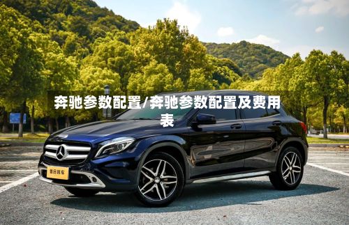 奔驰参数配置/奔驰参数配置及费用表