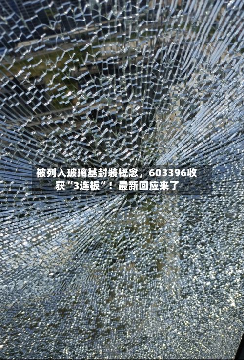 被列入玻璃基封装概念，603396收获“3连板”！最新回应来了-第2张图片