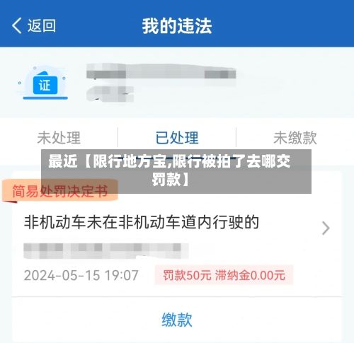 最近【限行地方宝,限行被拍了去哪交罚款】