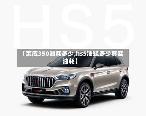 【荣威350油耗多少,hs5油耗多少真实油耗】-第2张图片