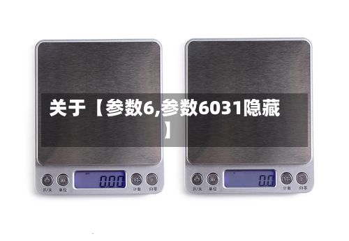 关于【参数6,参数6031隐藏】-第2张图片