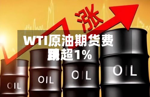 WTI原油期货费用
跌超1%-第1张图片