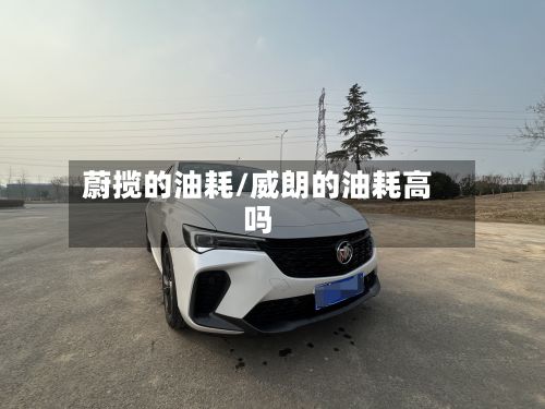 蔚揽的油耗/威朗的油耗高吗-第2张图片