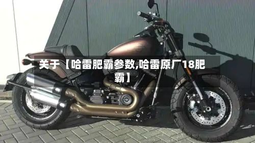 关于【哈雷肥霸参数,哈雷原厂18肥霸】