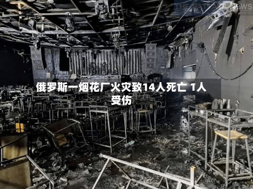 俄罗斯一烟花厂火灾致14人死亡 1人受伤-第2张图片