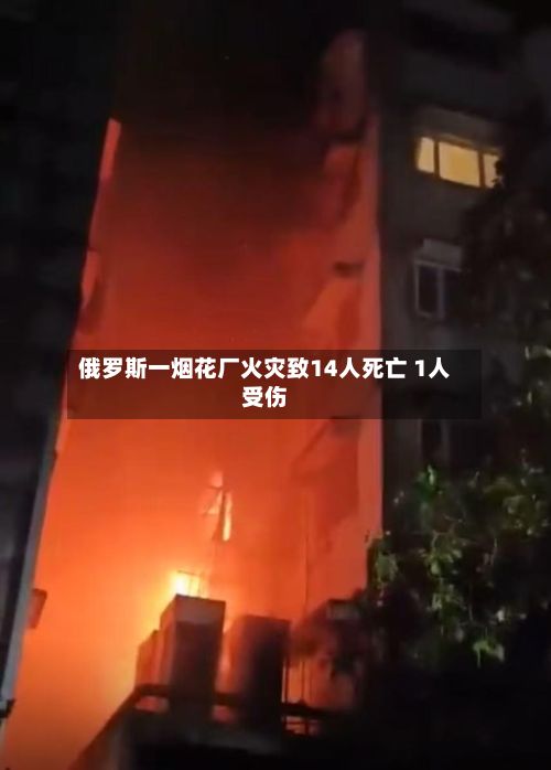 俄罗斯一烟花厂火灾致14人死亡 1人受伤