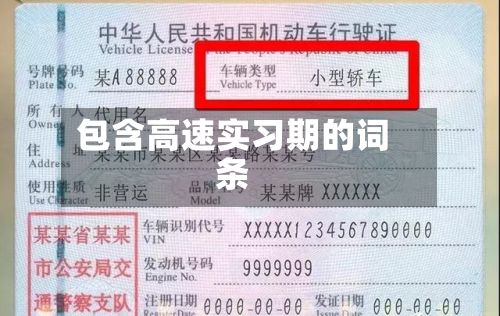 包含高速实习期的词条-第3张图片
