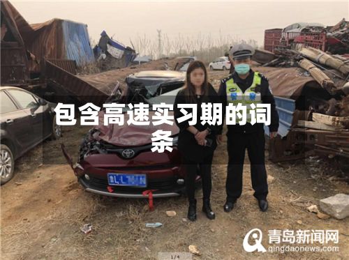 包含高速实习期的词条