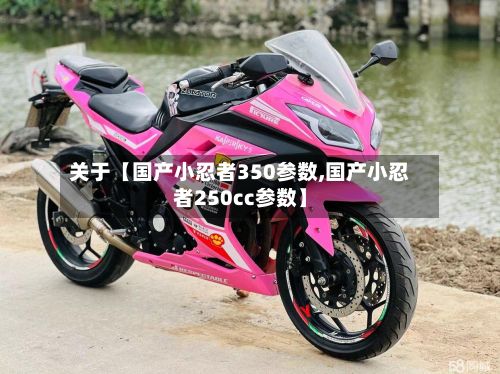 关于【国产小忍者350参数,国产小忍者250cc参数】