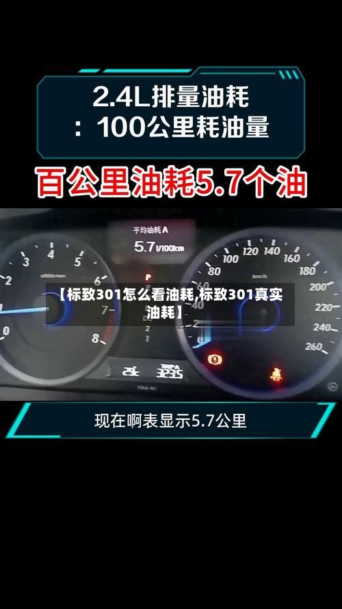 【标致301怎么看油耗,标致301真实油耗】-第3张图片