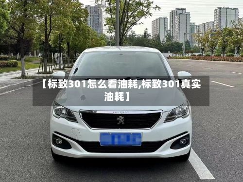【标致301怎么看油耗,标致301真实油耗】-第2张图片