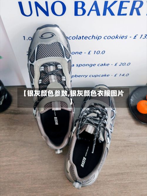 【银灰颜色参数,银灰颜色衣服图片】-第3张图片