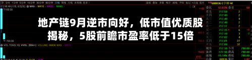 地产链9月逆市向好，低市值优质股揭秘，5股前瞻市盈率低于15倍-第3张图片