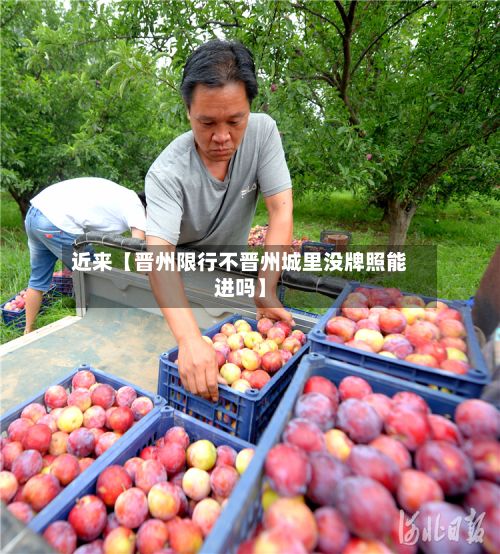 近来【晋州限行不晋州城里没牌照能进吗】