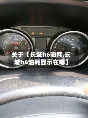 关于【长城h6油耗,长城h6油耗显示在哪】