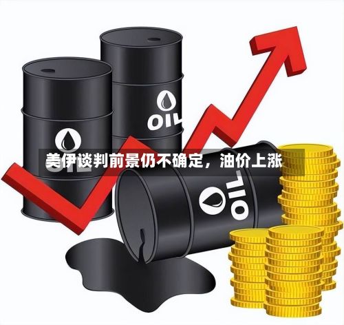 美伊谈判前景仍不确定	，油价上涨-第2张图片