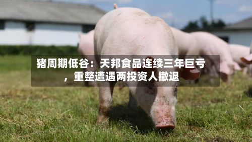 猪周期低谷：天邦食品连续三年巨亏，重整遭遇两投资人撤退-第3张图片