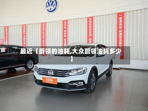 最近【蔚领的油耗,大众蔚领油耗多少】-第2张图片