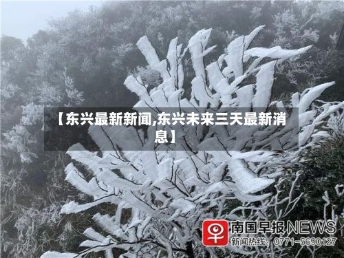 【东兴最新新闻,东兴未来三天最新消息】-第2张图片