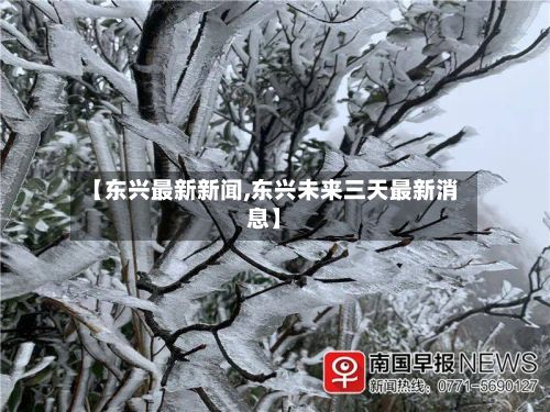 【东兴最新新闻,东兴未来三天最新消息】-第3张图片