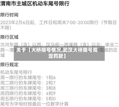 关于【大桥限号情况,武汉大桥限号规定罚款】-第2张图片