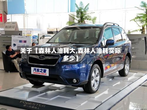 关于【森林人油耗大,森林人油耗实际多少】-第2张图片