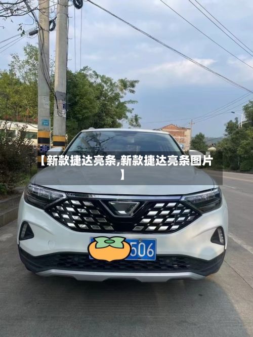 【新款捷达亮条,新款捷达亮条图片】-第3张图片
