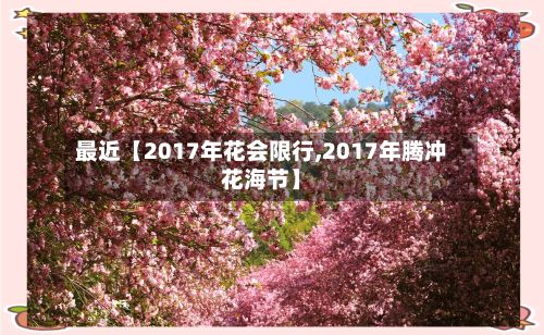 最近【2017年花会限行,2017年腾冲花海节】-第2张图片