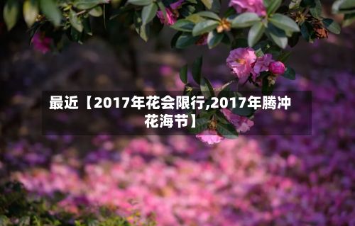 最近【2017年花会限行,2017年腾冲花海节】-第3张图片