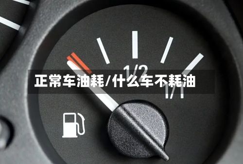 正常车油耗/什么车不耗油